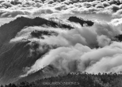 Al Sur desde Alto Bandera - Ricardo Briones