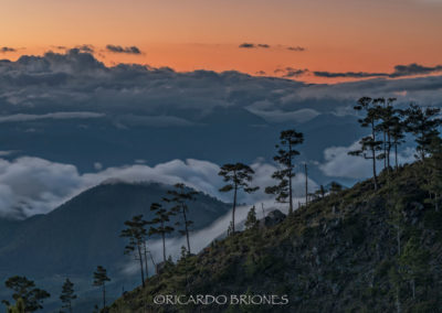 Desde Pajón Blanco, Parque Nacional Valle Nuevo - Ricardo Briones