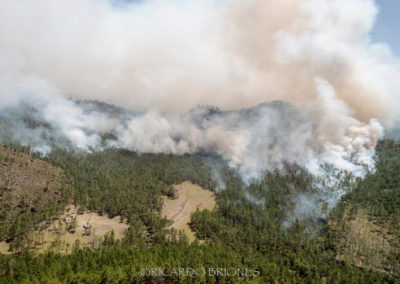 Fuego Valle Nuevo - Ricardo Briones
