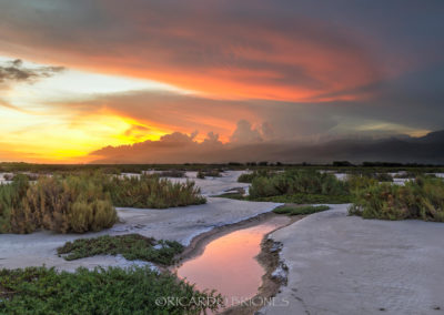 La Gran Sabana Neiba- Ricardo Briones