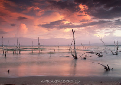 Lago Enriquillo- Ricardo Briones