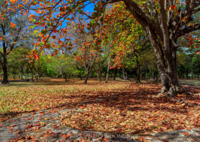 Parque Mirador Sur - Ricardo Briones