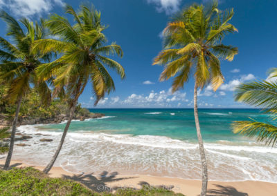 Playa Preciosa - Ricardo Briones